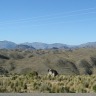 Bolivian Adventure